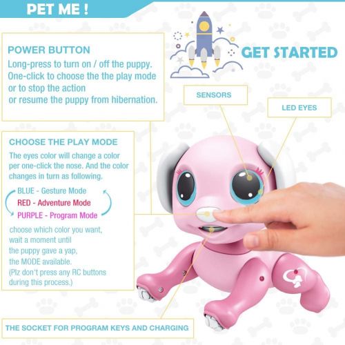  [아마존베스트]BIRANCO. Updated 2019 Smart Puppy - Remote Control, Gesture Control, STEM Programmable Actions, Lights and Sounds Electronic Pets Dog Toys, Ages 3 and Up (Pink)