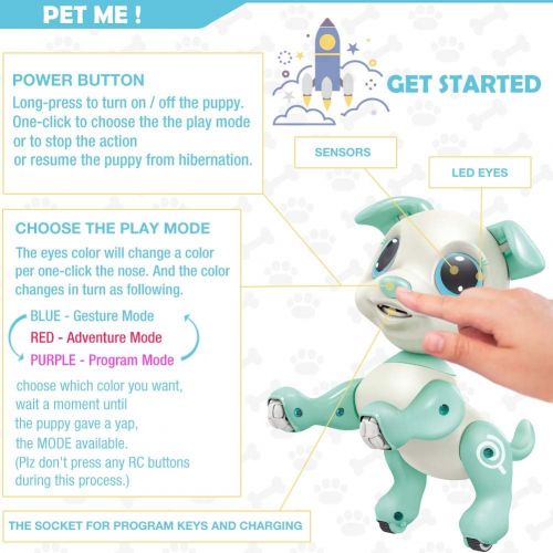  [아마존베스트]BIRANCO. RC Dog, Electronic Pets - Remote Control, Gesture Control, STEM Programmable Actions, Walk and Bark, Fun Puppy Toys for Boys and Girls, Ages 3 and Up (White)