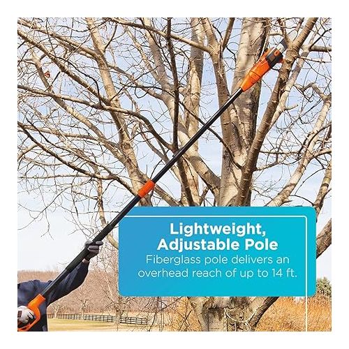  BLACK+DECKER 20V Max Pole Saw for Tree Trimming, Cordless, with Extension up to 14 ft., Bare Tool Only (LPP120B)