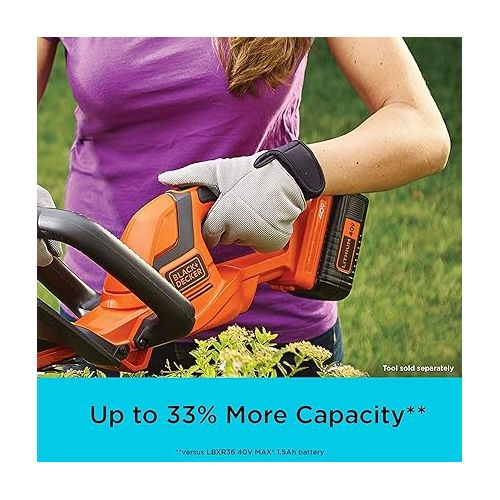  BLACK+DECKER 40V MAX Lithium Battery, Compatible with 36V and 40V MAX Power Tools, Lithium Ion Technology, Charger Not Included (LBX2040)