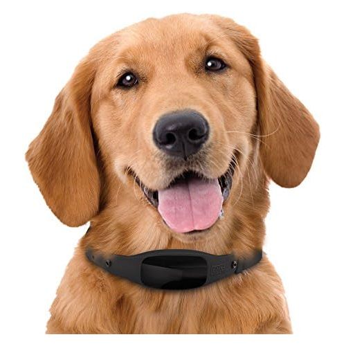  [아마존베스트]BLACK+DECKER Smart Dog Collar, GPS Tracker, 2-Way Audio, Water Resistant