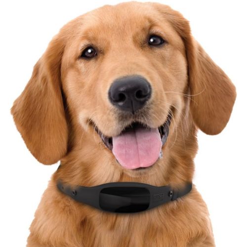  [아마존베스트]BLACK+DECKER Smart Dog Collar, GPS Tracker, 2-Way Audio, Water Resistant