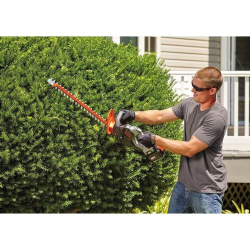  BLACK+DECKER 60V MAX Cordless Hedge Trimmer, 24-Inch (LHT360CFF)