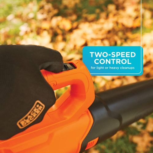  BLACK+DECKER 20V MAX Leaf Blower and String Trimmer Combo Kit (BCK279D2)