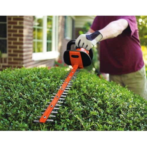  BLACK+DECKER HH2455 3.3-Amp HedgeHog Hedge Trimmer with Rotating Handle And Dual Blade Action Blades, 24