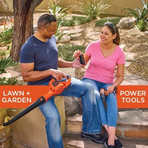  BLACK+DECKER 20V MAX Cordless Pole Hedge Trimmer, 18-Inch (LPHT120) & 20V MAX Lithium Battery (LBXR20)