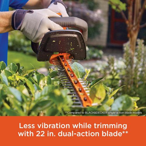  BLACK+DECKER 20V MAX* String Trimmer, Powercut, 22-Inch, (LHT321)