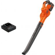 BLACK+DECKER 40V MAX* Cordless Sweeper (LSW40C)