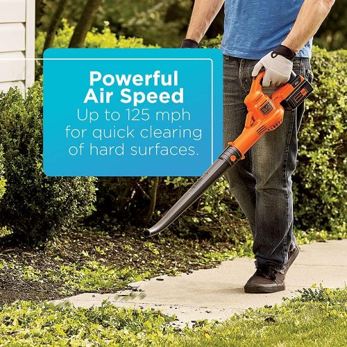  BLACK+DECKER 40V MAX* Cordless Sweeper (LSW40C)