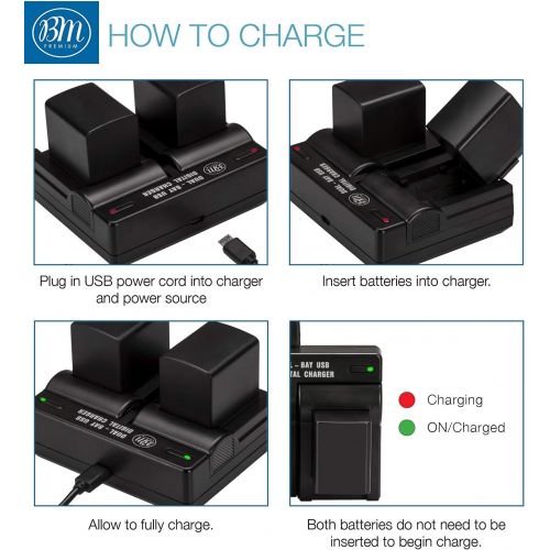  BM Premium BM 2 BP-820 Batteries and Dual Battery Charger for Canon VIXIA HF G50, HF G60, XA40, XA45, XA50, XA55, GX10, HFG20, HF G21, HFG30, HFG40, HFM301, HFM41, HFM400, XA10 XA11 XA15 XA20