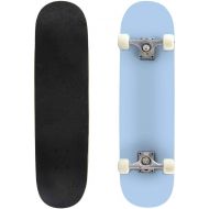 BNUENMEE Complete Skateboard for Kids Boys Girls Youths Beginners, Baby Blue Solid Color Decor Standard Skateboards 31x 8 with 7 Layer Canadian Maple Skateboards