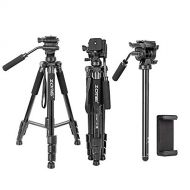 BONFOTO 65 Camera Tripod,Q310 Lightweight Travel Portable Cell Phone Tripod Stand Monopod with Universal Phone Holder and Carry Bag for Canon, DSRL, SRL,Cell Phones, Projector, Webcam