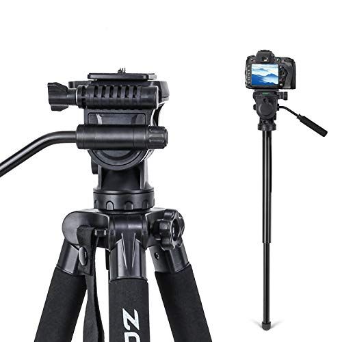  BONFOTO 2-in-1 Aluminum Alloy Camera Tripod Monopod 67 with 1/4 inch Screws Fluid Drag Pan Head and Carry Bag for Nikon Canon DSLR Cameras Video Camcorders