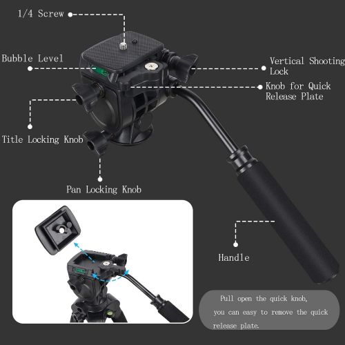  BONFOTO 2-in-1 Aluminum Alloy Camera Tripod Monopod 67 with 1/4 inch Screws Fluid Drag Pan Head and Carry Bag for Nikon Canon DSLR Cameras Video Camcorders