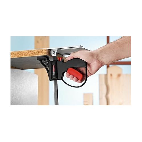  BOSCH FSNKZW Track Quick Clamps (2 Pc.), Black