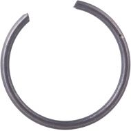 Bosch Parts 2916601014 Spring Ring