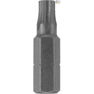 Bosch TX2025102 1 In. Torx Insert Bit