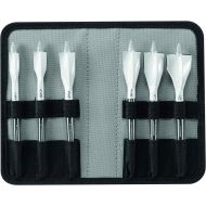 Bosch NS5006 6 pc. Nail Strike Wood-Boring Spade Bit Set