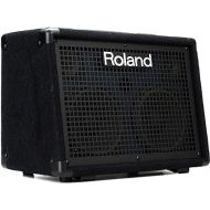 Roland KC-220 Battery-Powered Stereo Keyboard Amplifier, 30-Watt (15W + 15W)