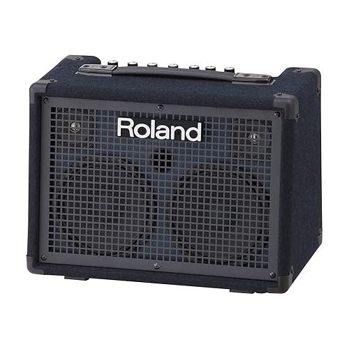  Roland KC-220 Battery-Powered Stereo Keyboard Amplifier, 30-Watt (15W + 15W)