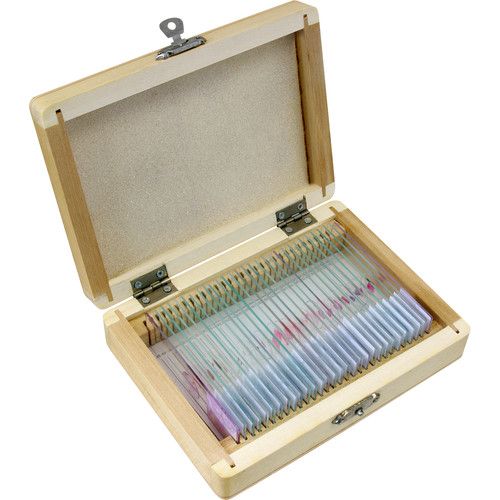  BRESSER 30-Piece Prepared Microscope Slides Set (Histology, Wooden Box)