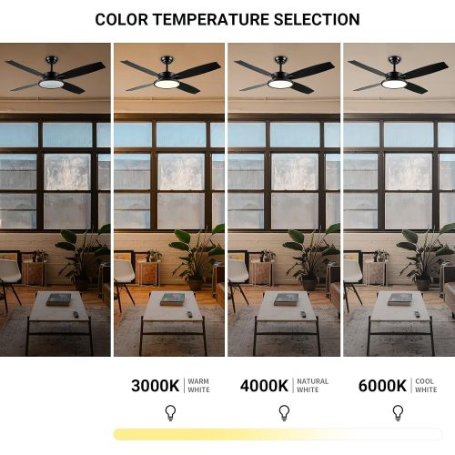  52 Inch Ceiling Fan ,BRTLX black Ceiling Fans with Lights Remote Control ,Outdoor Standard Ceiling Fans for bedroom and patios , Noiseless Reversible AC Motor, 3-speed, (Black)