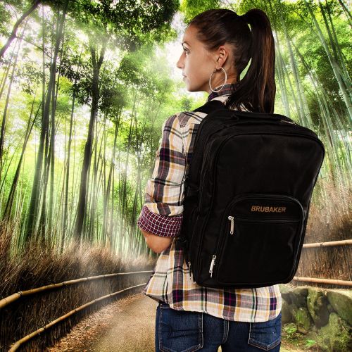  BRUBAKER Picnic Backpack Four Person with Removable Insulated Bottle Holder, Tableware and Plates