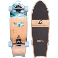 BTFL Longboards - SurfSkate - Moby und Zoey