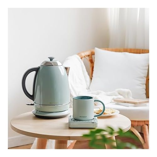  BUYDEEM K640N Stainless Steel Electric Tea Kettle with Auto Shut-Off and Boil Dry Protection, 1.7 Liter Cordless Hot Water Boiler with Swivel Base, 1440W, Cozy Greenish