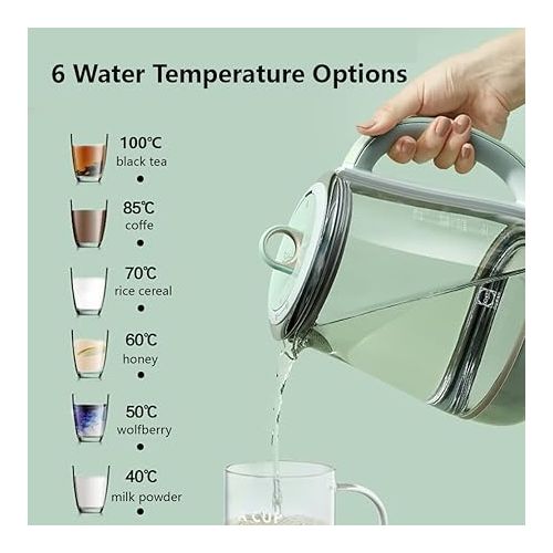  BUYDEEM Health Pot K2763 Lite, Glass Electric Kettle for Tea & Coffee, Hot Water Boiler and Wamer with Stew Pot, Temperature Control, Green, 1.5L