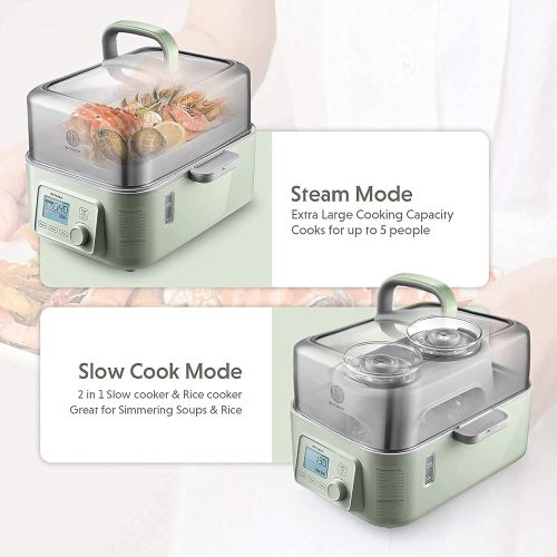  [아마존베스트]BUYDEEM G563 5-Quart Electric Food Steamer for Cooking, One Touch Vegetable Steamer, Digital Multifunctional Steamer, Quick Steam in 60s, Stainless Steel & Glass Lid, Cozy Greenish