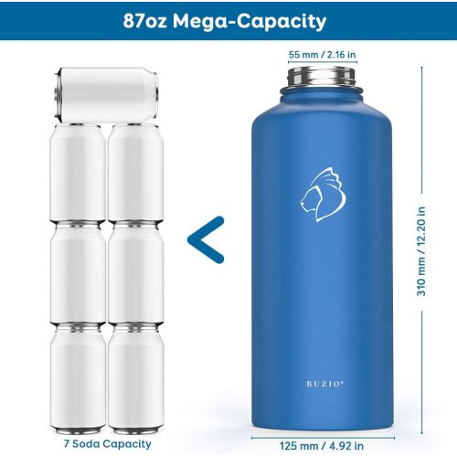  BUZIO Insulated Water Bottle with Straw Lid and Flex Cap, 32oz, 40oz, 64oz, 87oz Modern Double Vacuum Stainless Steel Water Flask, Cold for 48 Hrs Hot for 24 Hrs Simple Thermo Cant