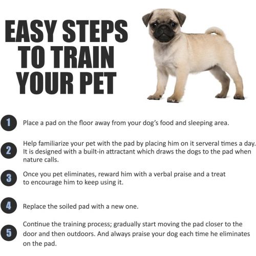  [아마존 핫딜] BV Pet Potty Training Pee Pads for Dog and Puppy