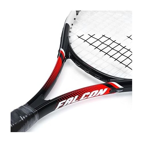 바볼랏 Babolat Falcon 105 Tennis Racquet (Prestrung) (4 1/4)
