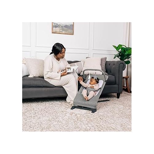  Baby Delight Alpine Deluxe Portable Bouncer | Infant | 0 - 6 months | Charcoal Tweed