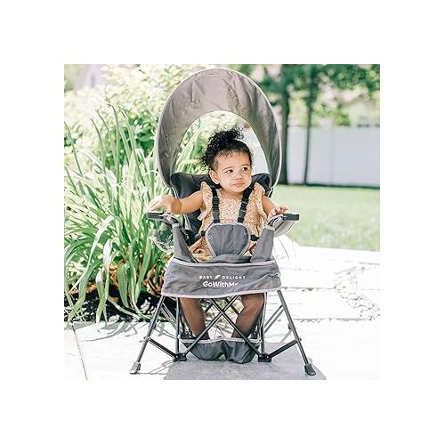  Baby Delight Go with Me Venture Portable Chair | Indoor and Outdoor | Sun Canopy | 3 Child Growth Stages | Grey