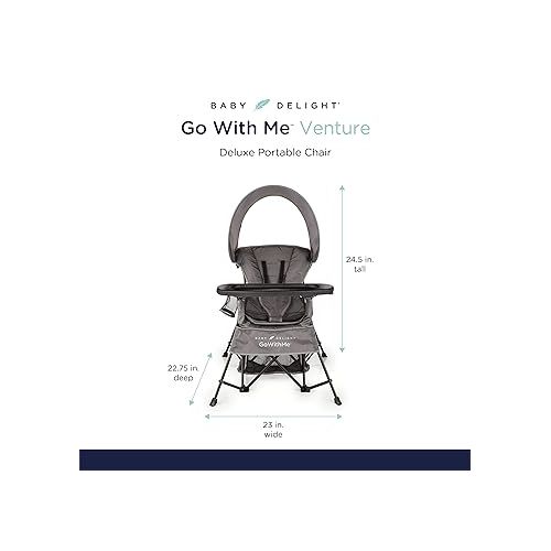  Baby Delight Go with Me Venture Portable Chair | Indoor and Outdoor | Sun Canopy | 3 Child Growth Stages | Grey