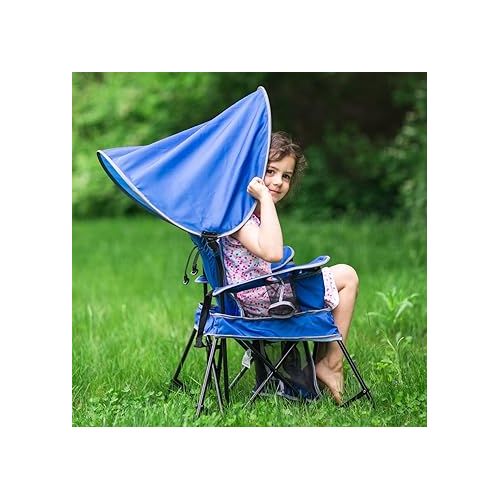  Baby Delight Go with Me Venture Portable Chair | Indoor and Outdoor | Sun Canopy | 3 Child Growth Stages | Grey