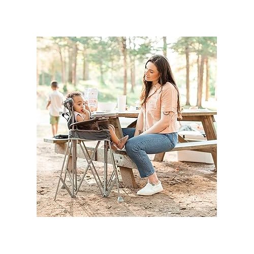  Baby Delight Go with Me Uplift Deluxe Portable High Chair | Sun Canopy | Indoor and Outdoor | Grey