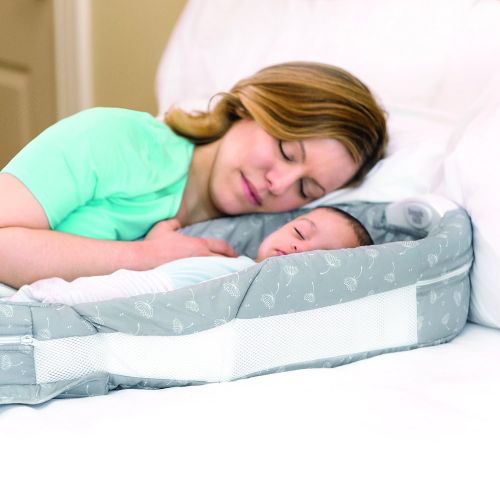  Baby Delight Snuggle Nest Afterglow Infant Sleeper/Baby Bed | Misty Dandelions Catcher Fabric...