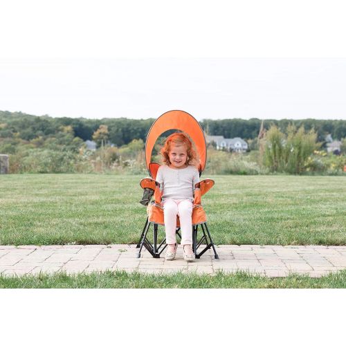  Baby Delight Go with Me Chair | Indoor/Outdoor Chair with Sun Canopy | Teal | Portable Chair converts to 3 Child Growth Stages: Sitting, Standing and Big Kid | 3 Months to 75 lbs |