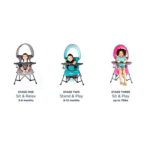  [아마존베스트]Baby Delight Go with Me Chair | Indoor/Outdoor Chair with Sun Canopy | Gray | Portable Chair converts to 3 Child Growth Stages: Sitting, Standing and Big Kid | 3 Months to 75 lbs |