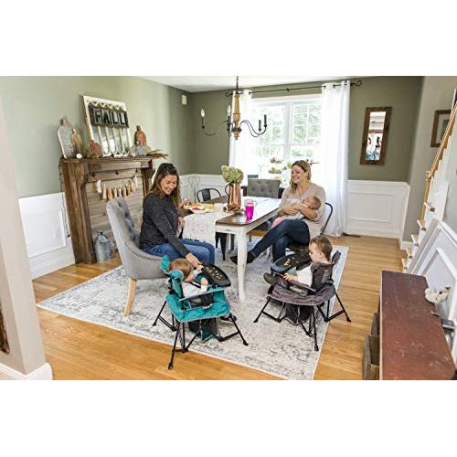  [아마존베스트]Baby Delight Go with Me Chair | Indoor/Outdoor Chair with Sun Canopy | Gray | Portable Chair converts to 3 Child Growth Stages: Sitting, Standing and Big Kid | 3 Months to 75 lbs |