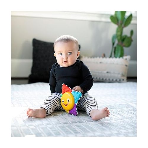  Baby Einstein Star Bright Symphony Plush Musical Take-Along Toy, Ages Newborn + (Pack of 1)