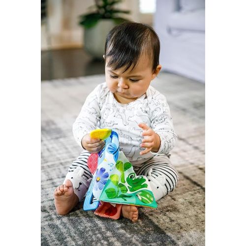  Baby Einstein Curious Explorers Teether Book Take-Along Toy, Ages Newborn +, Multicolored