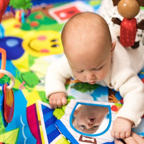  [아마존베스트]Baby Einstein Caterpillar & Friends Play Gym with Lights and Melodies, Ages Newborn +