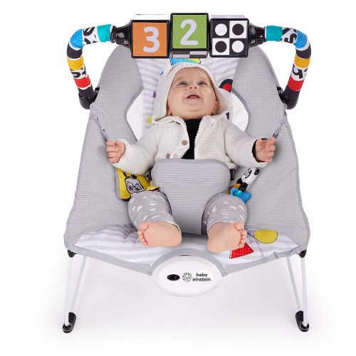  [아마존베스트]Baby Einstein More to See High Contrast Bouncer with Vibrating Seat