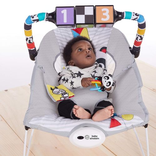  [아마존베스트]Baby Einstein More to See High Contrast Bouncer with Vibrating Seat