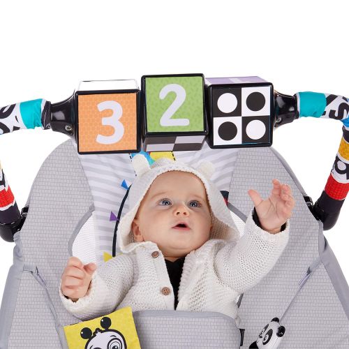  [아마존베스트]Baby Einstein More to See High Contrast Bouncer with Vibrating Seat