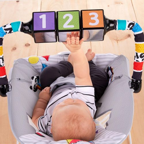  [아마존베스트]Baby Einstein More to See High Contrast Bouncer with Vibrating Seat